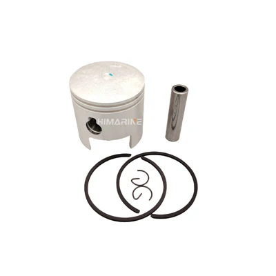 350-00001-1 350-00011-0 Piston Kit With Piston Ring